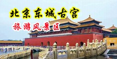 美女被人插的网站中国北京-东城古宫旅游风景区